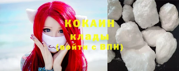 гидропоника Новозыбков