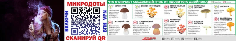 как найти   Калач  Галлюциногенные грибы мицелий 